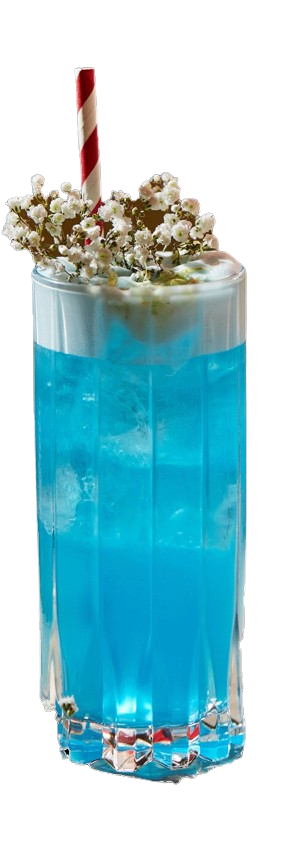 Eleganter Cocktail im verzierten Stielglas mit cremigem Schaum und Orangenscheibe – stilvoller Signature Drink 'Italian Pornstar' von GIGI Trattoria.